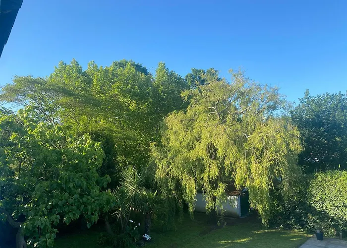 Sci Louxor By Dominique Feriehus *