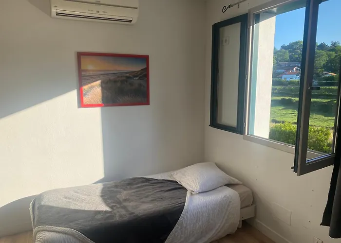 Sci Louxor By Dominique