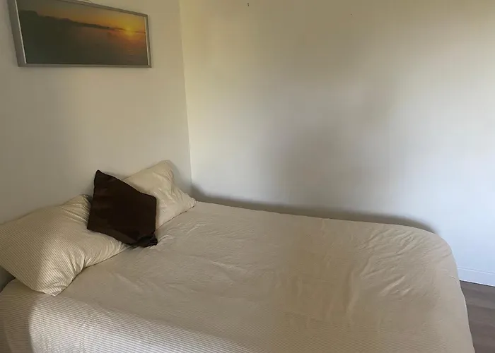 Sci Louxor By Dominique Urrugne